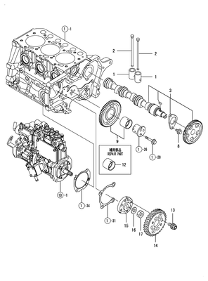 CAMSHAFT & DRIVING GEAR (3TNM68-ASA)