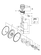 CRANKSHAFT & PISTON (3TNV88C-D7Y)