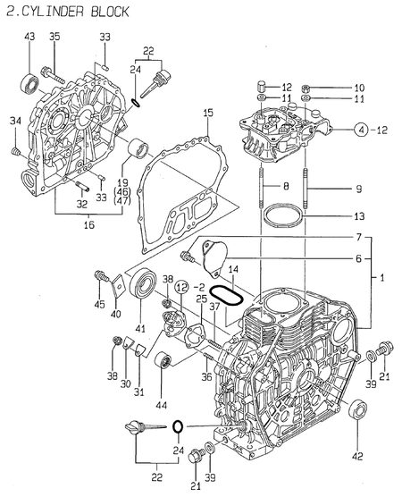 CYLINDER BLOCK (L60AE-DP3T)