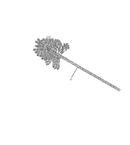 SPECIAL TOOL(OPTIONAL) (4TN82TL-RGB)