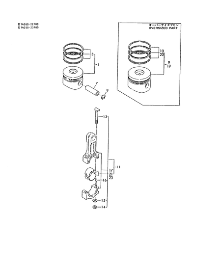 PISTON & CONNECTING ROD (DGY20)