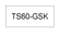 TS60-GSK