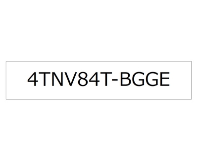 4TNV84T-BGGE