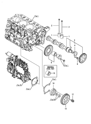 CAMSHAFT & DRIVING GEAR (3TNM74F-SAAY) CAMSHAFT & DRIVING GEAR (3TNM74F-SAAY)