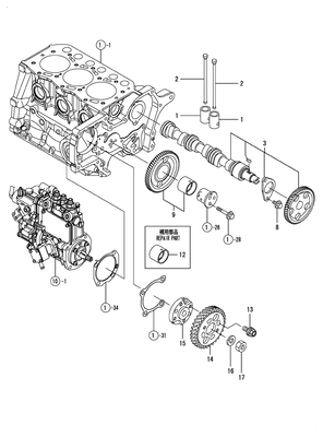 CAMSHAFT & DRIVING GEAR (3TNM68-AMW) CAMSHAFT & DRIVING GEAR (3TNM68-AMW)