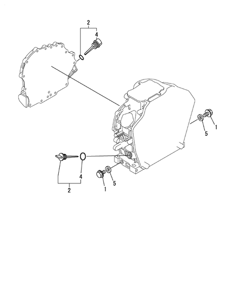 DRAIN PLUG (L48N6-PEYST2YI)