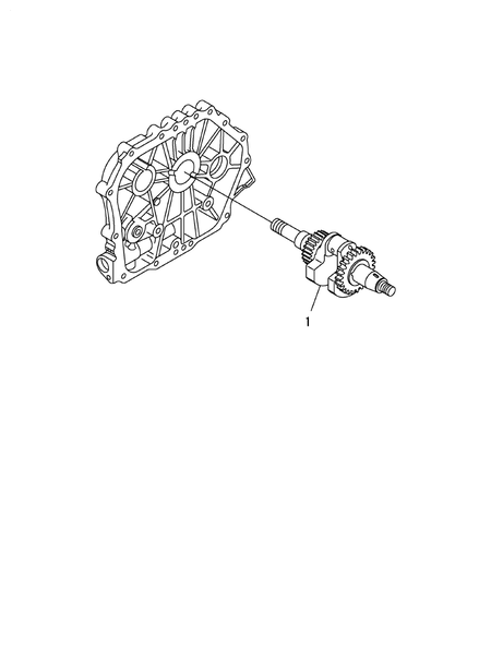 CRANKSHAFT (L100N6-PEYT2YI)