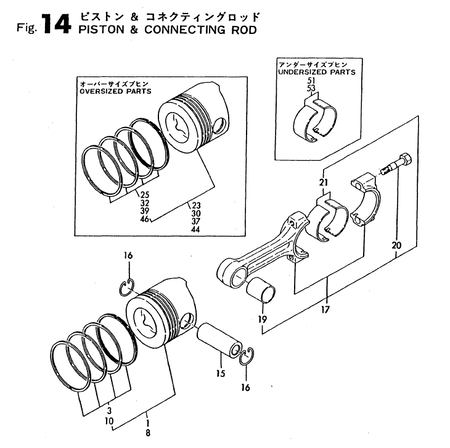PISTON & CONNECTING ROD (TF135R-DI) PISTON & CONNECTING ROD (TF135R-DI)