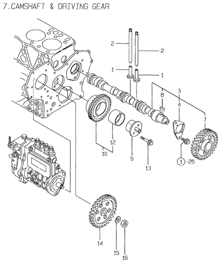 CAMSHAFT & DRIVING GEAR (4TN84E-RK) CAMSHAFT & DRIVING GEAR (4TN84E-RK)