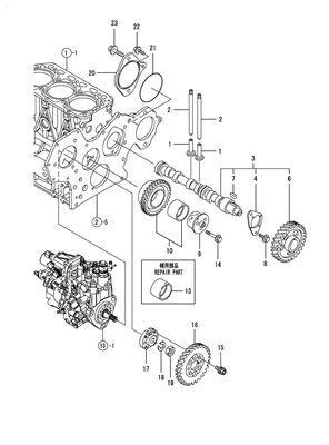 CAMSHAFT & DRIVING GEAR (3TNV84T-BKSA2) CAMSHAFT & DRIVING GEAR (3TNV84T-BKSA2)