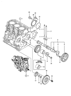 CAMSHAFT & DRIVING GEAR (3TNV88-BDSA)