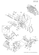 COVERNOR (4TN100L-FA)