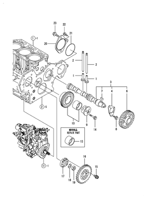 CAMSHAFT & DRIVING GEAR (3TNV88-BDSA2) CAMSHAFT & DRIVING GEAR (3TNV88-BDSA2)