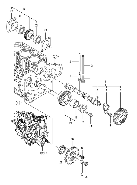 CAMSHAFT & DRIVING GEAR (3TNV88-BMRGH)