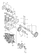 CAMSHAFT & DRIVING GEAR (3TNV88-UMRGH)
