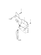 STAY(4) (YM347A)