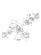 FRONT AXLE HOUSING (SX3100(CCY))