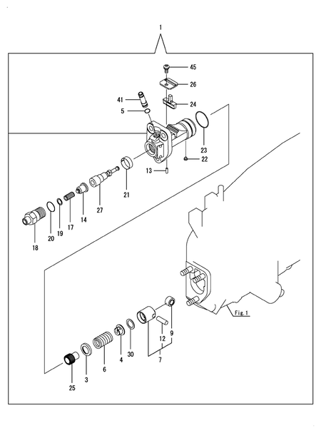 FUEL INJECTION PUMP (TF110N-L) FUEL INJECTION PUMP (TF110N-L)