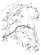 HYDRAULIC (YL300)