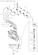 FUEL INJECTION LINE (4TN84E-RK)