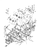 FRAME(G) (YU700GMP)