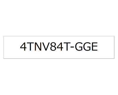 4TNV84T-GGE