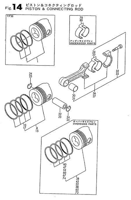 PISTON & CONNECTING ROD (TF70)