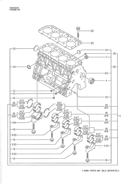 CYLINDER BLOCK (4TNE88-PG)