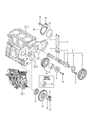 CAMSHAFT & DRIVING GEAR (3TNV82A-BDSA3) CAMSHAFT & DRIVING GEAR (3TNV82A-BDSA3)