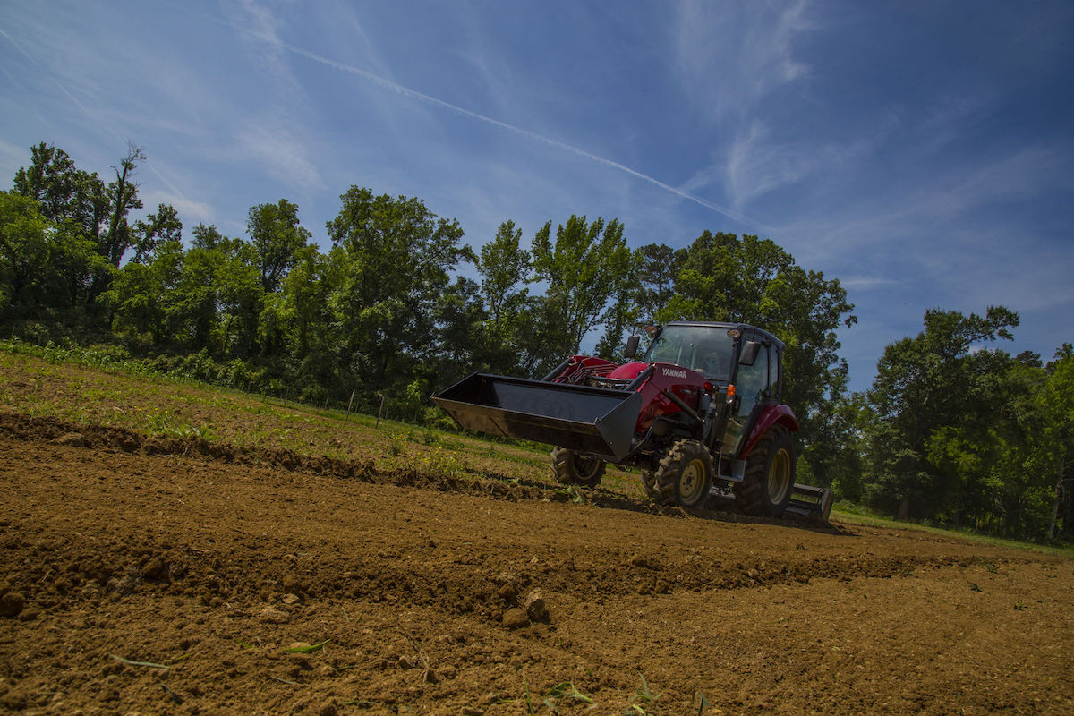 Summer Weed Control & Plot Maintenance for Food Plotters