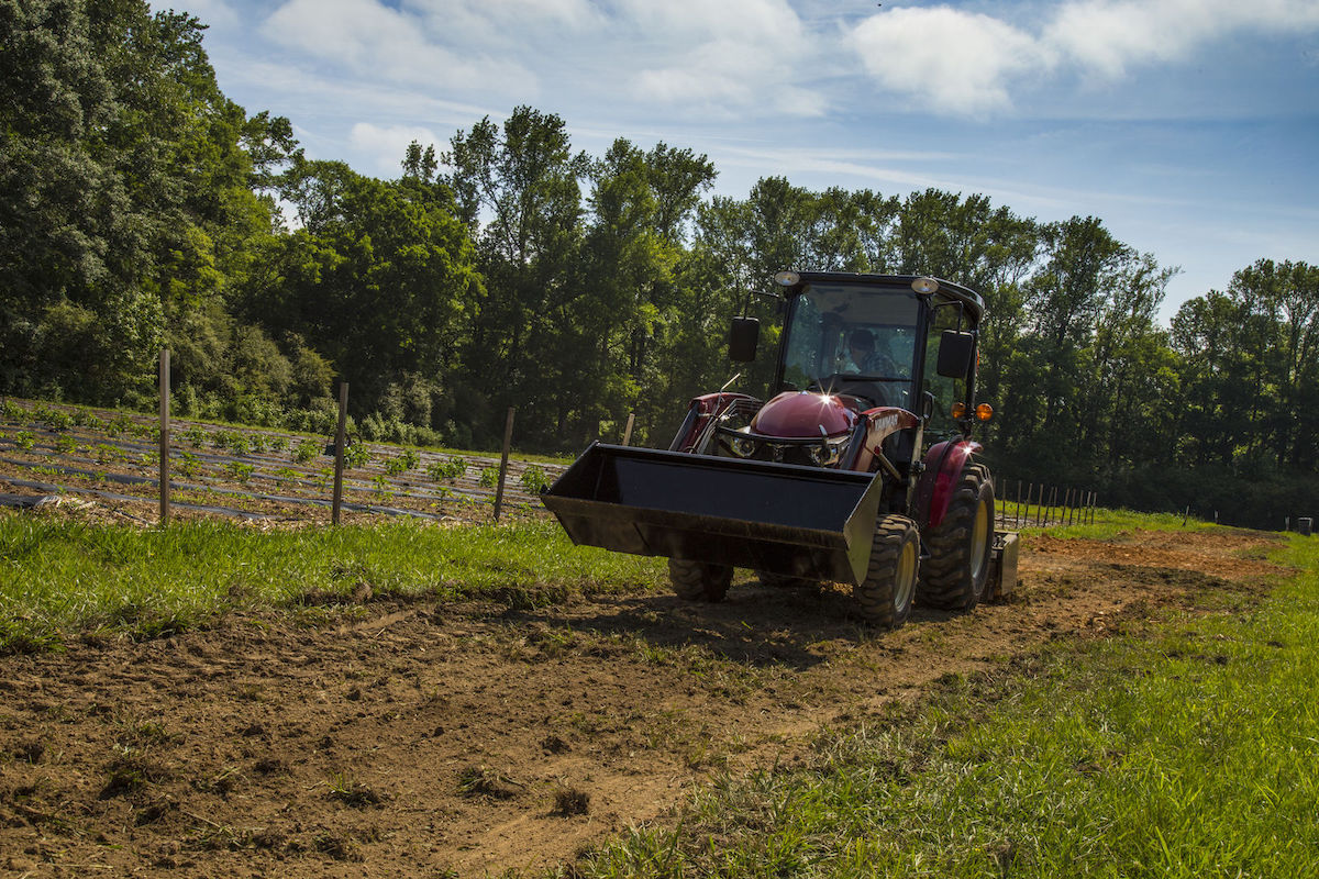 Easiest Crops to Grow In Summer for Hobby Farmers